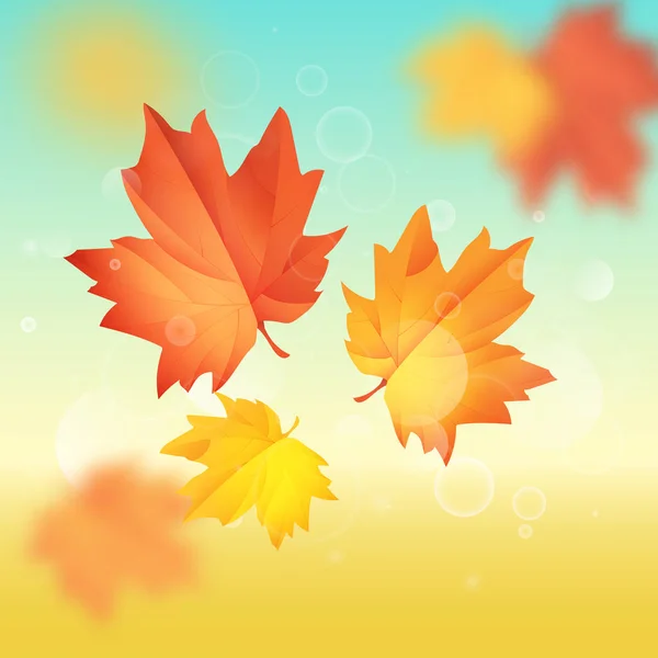 Illustrazione vettoriale di foglie d'acero. Ciao autunno — Vettoriale Stock