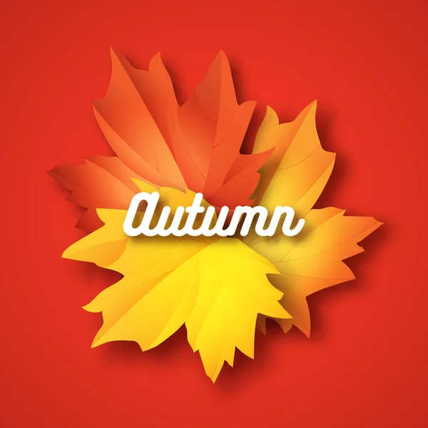 Herbsttypografie. Herbstblatt. Vektor-Abbildung Folge 10 — Stockvektor