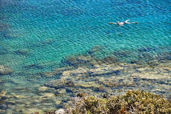 Lonely Swimmer Sea Stock Picture