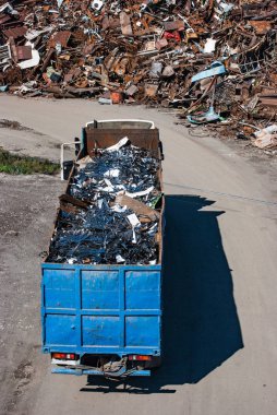 Metalurji bir bitkinin dökümü