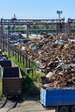 Metalurji bir bitkinin dökümü