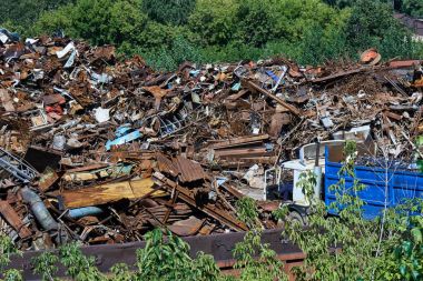 Metalurji bir bitkinin dökümü