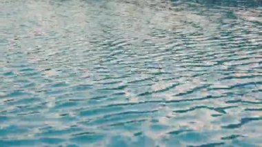 Havuzda su Ripples