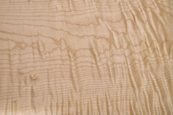 Sycamore maple texture. Sycamore maple veneer in workshop. — Stock Photo, Image