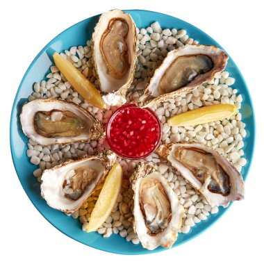 Yarım düzine taze açılmış istiridye soslu ve limon dilimli beyaz taşlar. Beyaz arkaplan üzerinde izole edilmiş.