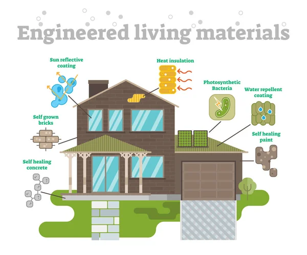 Engineered Living Materials Set — Stock Vector