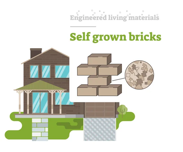 Self Grown Bricks - Engineered Living Material — Stock Vector