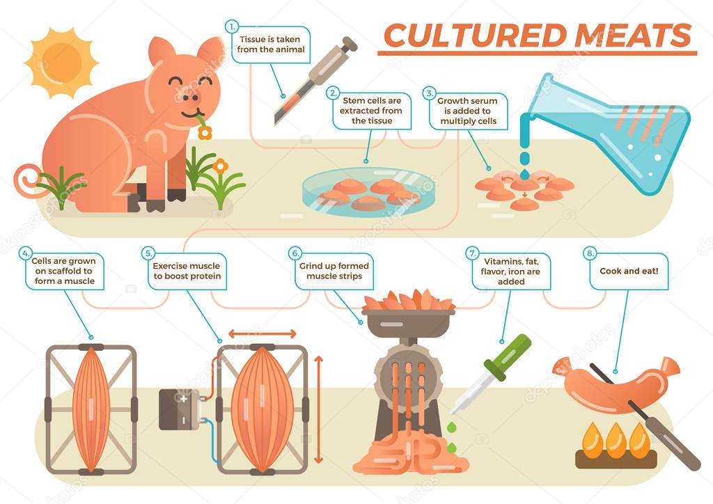 Cultured meat concept 