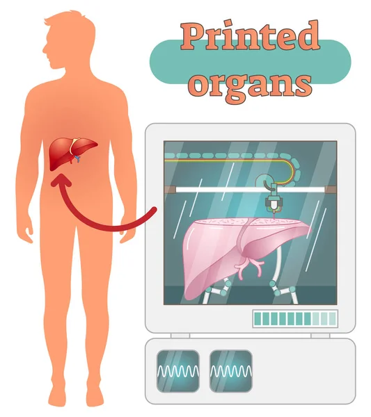 Concepto de órganos humanos impresos en 3D, ilustración vectorial — Vector de stock