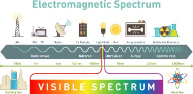 Electromagnetic spectrum infographic diagram clipart