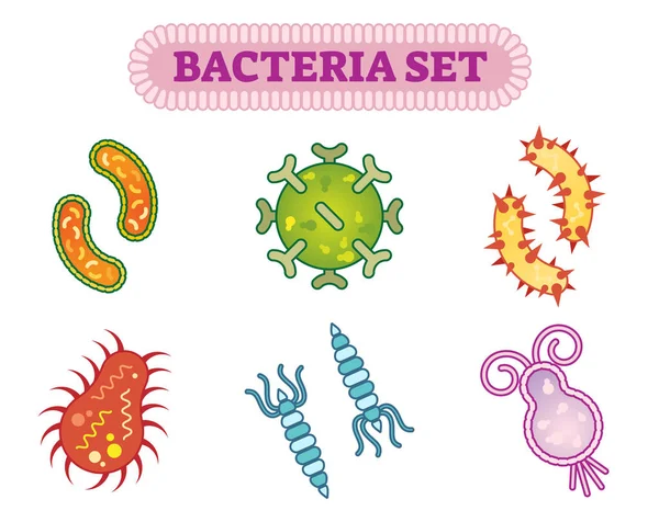 Bacteriën collectie van een vector illustratie van het micro-organisme met verschillende vormen. — Stockvector