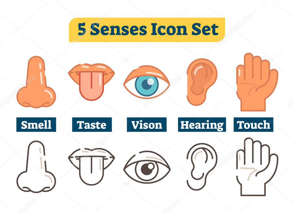 Five human body senses: smell, taste, vision, hearing, touch. Vector flat illustration icons 