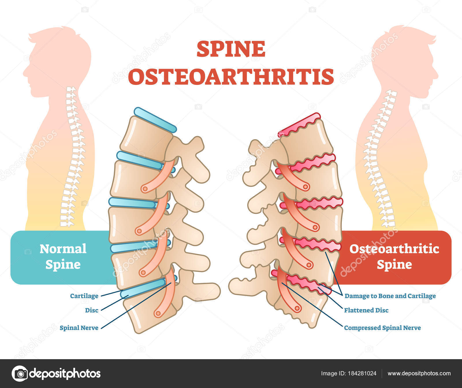 practical pain management for the lower extremity surgeon