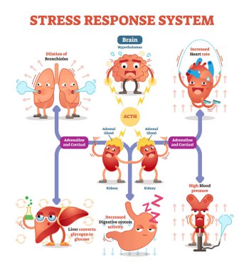 Stress response system vector illustration diagram, nerve impulses scheme.  clipart