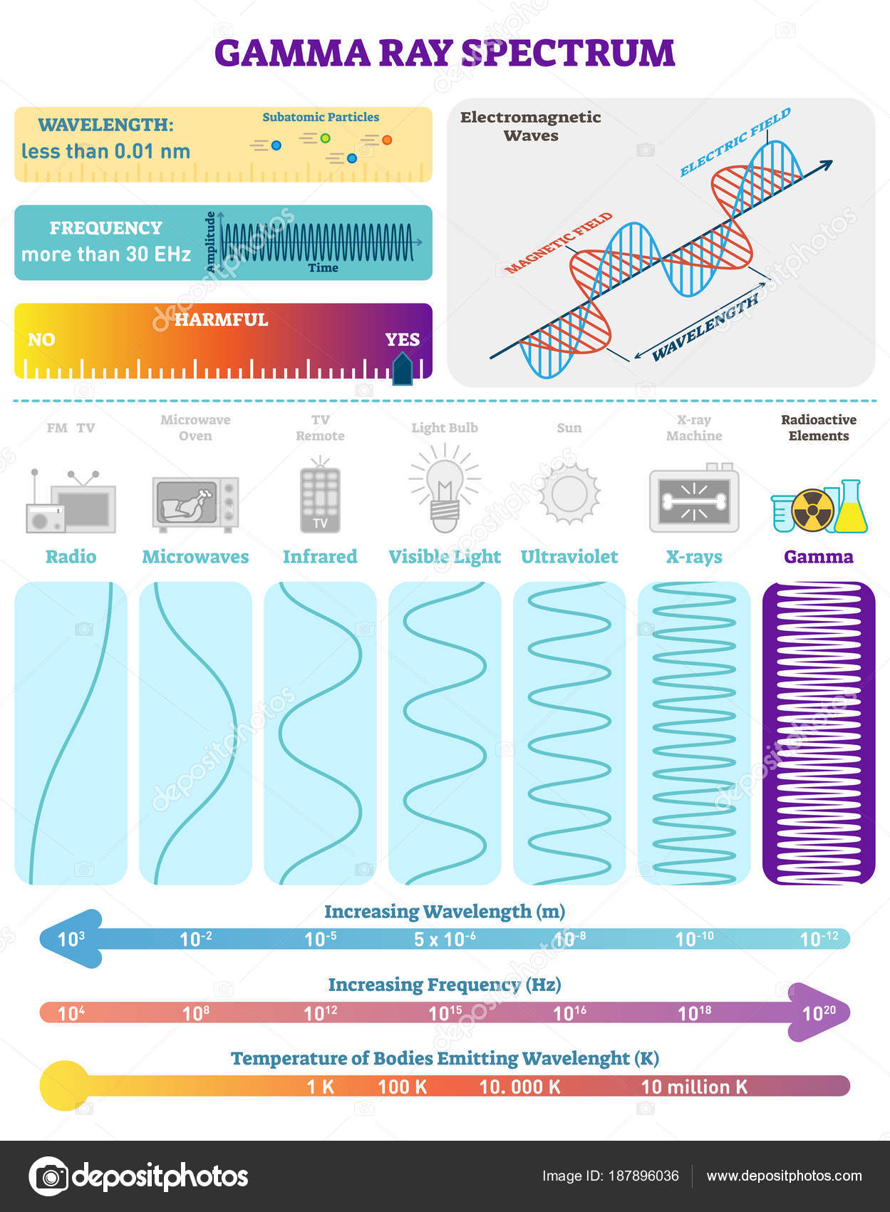 Waves Radioactive Gamma Rays Spectrum. Vector
