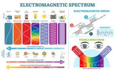 Tam elektromanyetik spektrum bilgi toplama, vektör çizim diyagramı dalga uzunlukları, frekans ve sıcaklık. Elektromanyetik dalga yapısı şeması. Fizik Infographic öğeleri.