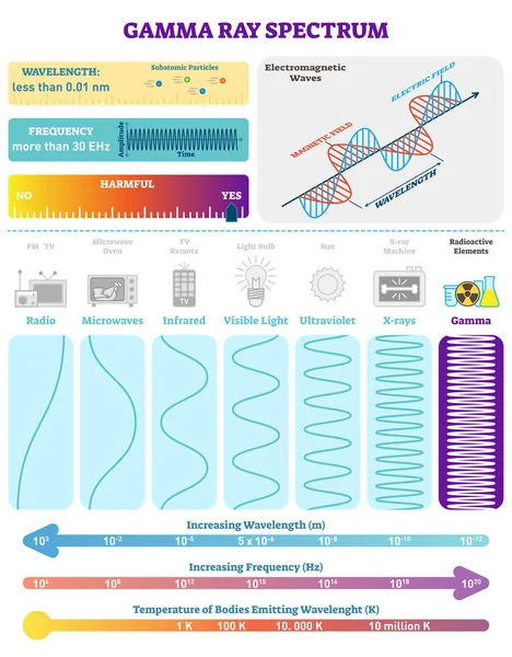 Onde elettromagnetiche: spettro dei raggi gamma radioattivi. Illustrazione vettoriale con lunghezza d'onda, frequenza, nocività e struttura d'onda . — Vettoriale Stock