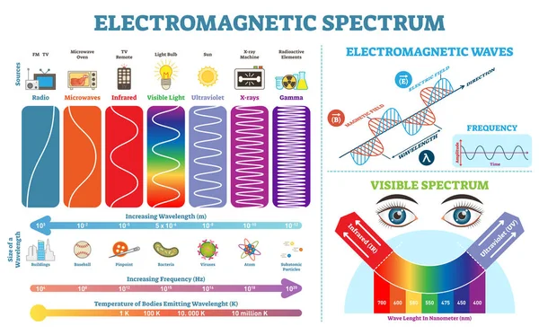 A teljes elektromágneses spektrum információgyűjtés, vektoros illusztráció diagram hullámhosszú, a frekvencia és hőmérséklet. Elektromágneses hullám szerkezet rendszer. Fizika infographic elemek. — Stock Vector