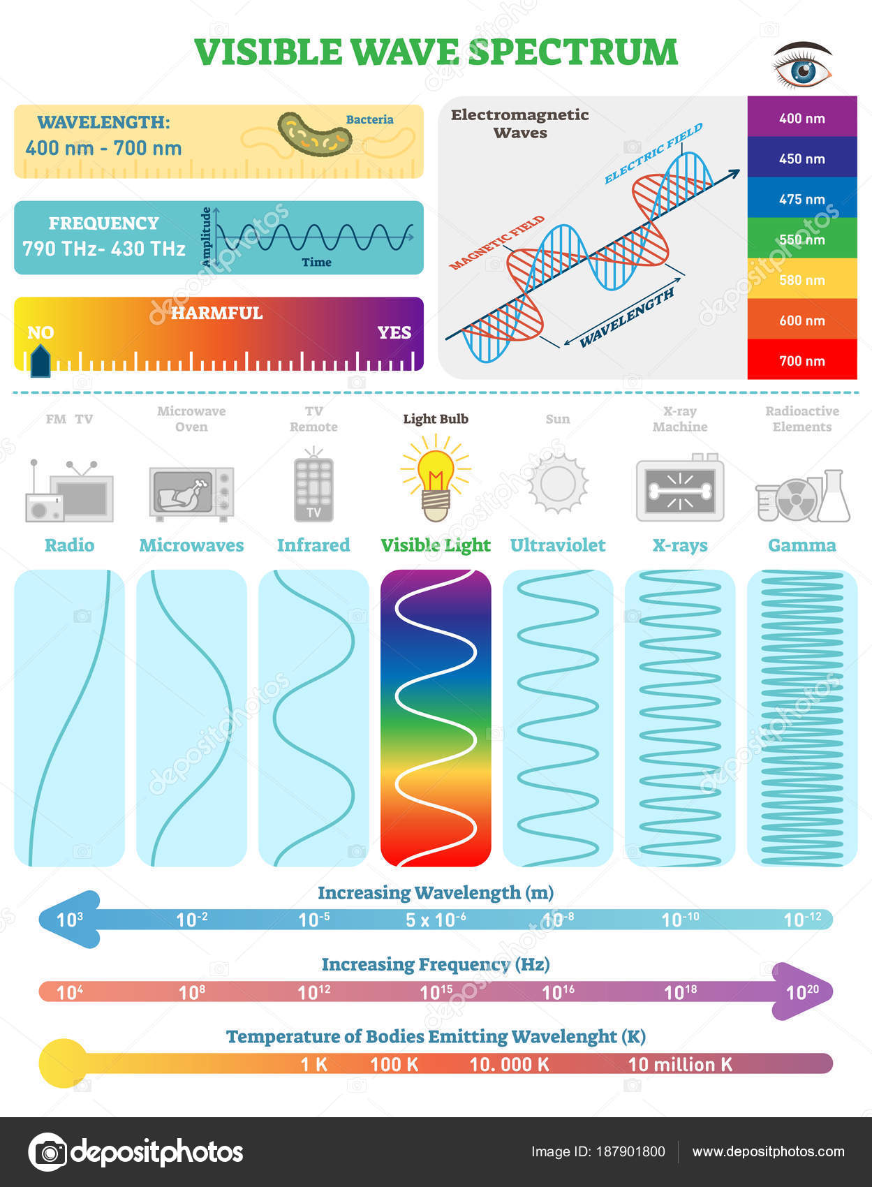 Electromagnetic Spectrum Chart Poster