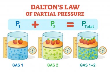Dalton's law, chemical physics example information poster with partial pressure law.Educational vector illustration. clipart