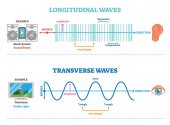 Podélné a příčné vlny typu, vektorové ilustrace vědecké diagram. Zvukové a vizuální vnímání princip. 