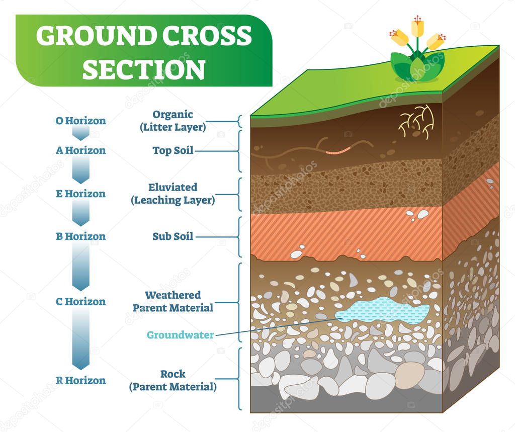 Ground Cross Section vector illustration with organic, topsoil, subsoil and other horizon levels.