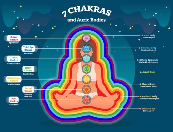 Capas corporales de Aura, diagrama de ilustración de vectores de energía espiritual con siete chakras. Sistema de balance energético. Práctica de yoga y curación del cuerpo sutil . — Archivo Imágenes Vectoriales