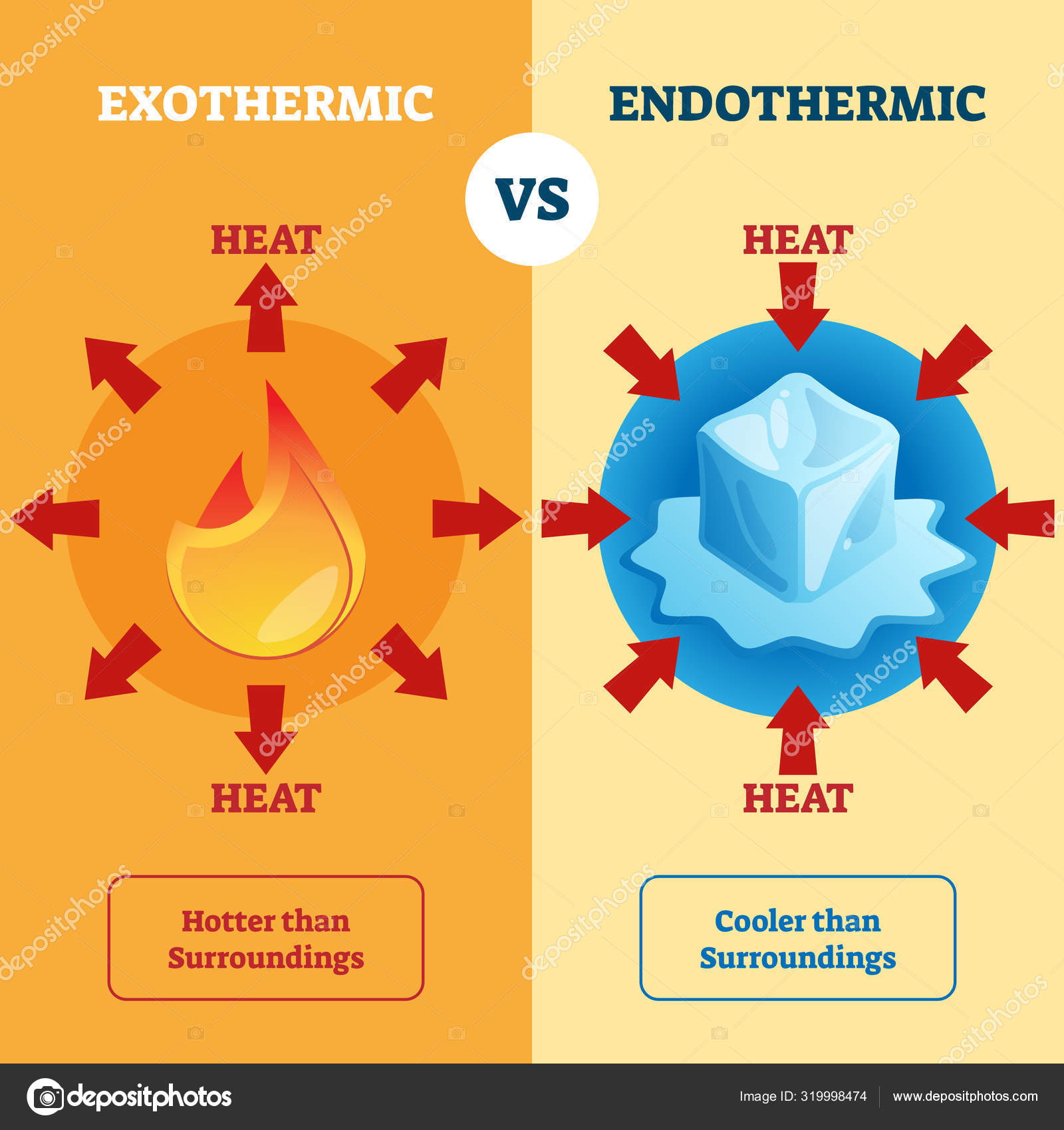 Exothermic and Endothermic vector illustration. Labeled educational scheme. Stock Vector Image by ©VectorMine #319998474 Exothermic and Endothermic vector illustration. Labeled educational scheme. Stock Vector Image by ©VectorMine #319998474