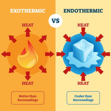 Exothermic and Endothermic vector illustration. Labeled educational scheme. clipart