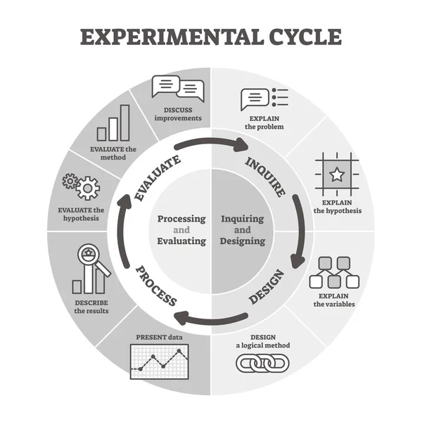 Ilustração vetorial do ciclo experimental. BW rotulado esboço conceito gráfico . —  Vetores de Stock