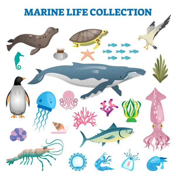 Векторная иллюстрация коллекции морской жизни. Дикая фауна моря и океана — стоковый вектор