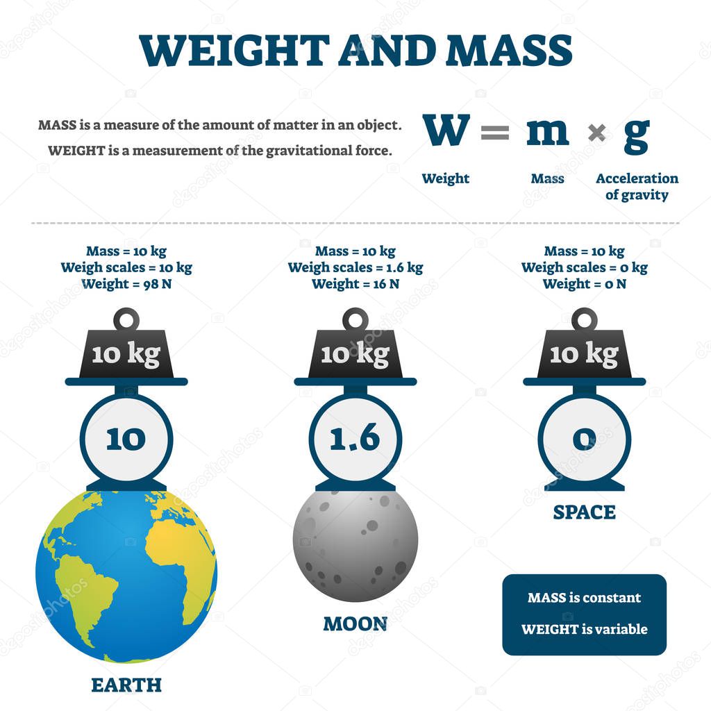 Weight and mass vector illustration. Labeled educational comparison scheme.