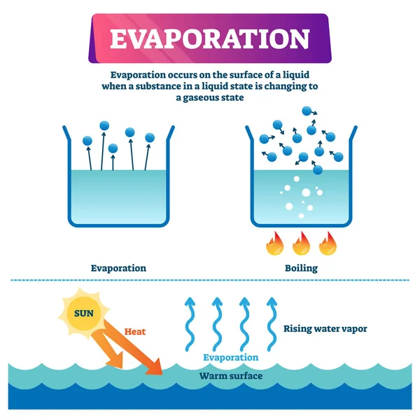 Illustrazione vettoriale di evaporazione. Schema di processo da liquido a gas etichettato — Vettoriale Stock