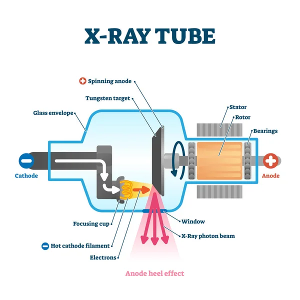 Ilustración del vector del tubo de rayos X. Esquema estructural del equipo de exploración radiológica . — Archivo Imágenes Vectoriales