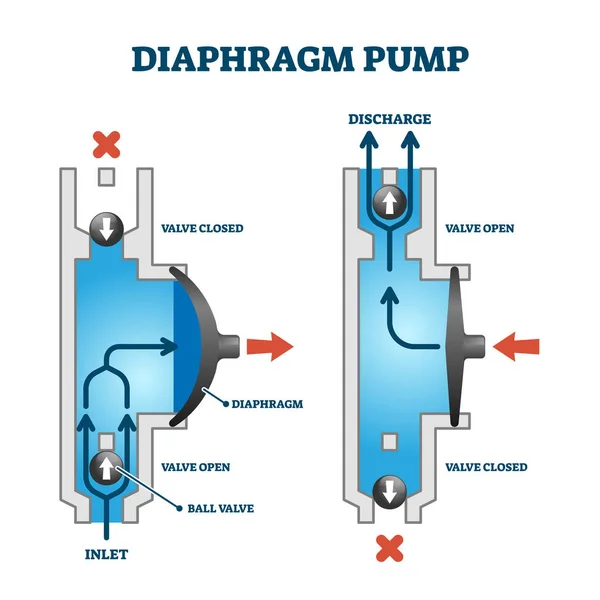 Diaphragm or membrane pump working process diagram example drawing — 스톡 벡터