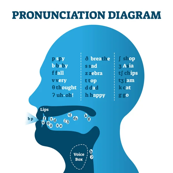 Pronunciation diagram chart with letters and corresponding sounds, vector illustration — 스톡 벡터