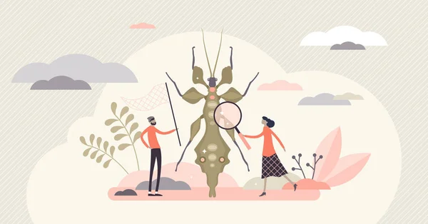 Entomología concepto de campo, persona plana diminuta entomólogos vector ilustración — Archivo Imágenes Vectoriales