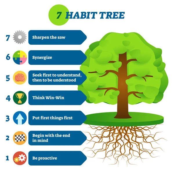 7 hábitos árvore sucesso mentalidade estágios vetor ilustração —  Vetores de Stock