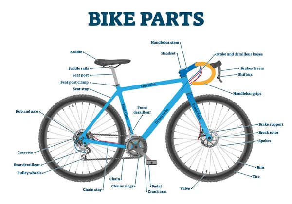 Bicicleta peças rotuladas diagrama de ilustração vetorial — Vetor de Stock