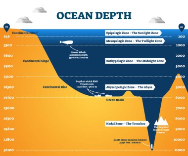 Ocean depth zones infographic, vector illustration labeled diagram clipart