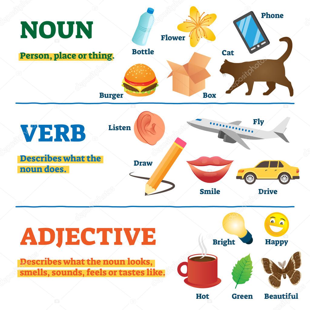 Nouns, verbs and adjectives school study guide, vector illustration