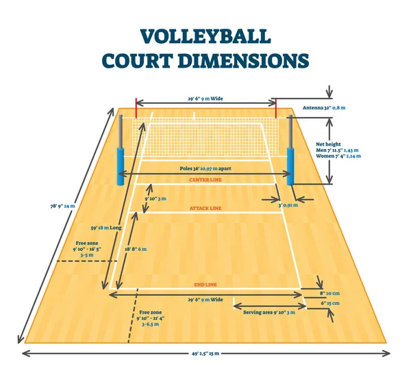 Dimensioni campo da pallavolo guida dimensionale, schema di layout illustrazione vettoriale — Vettoriale Stock