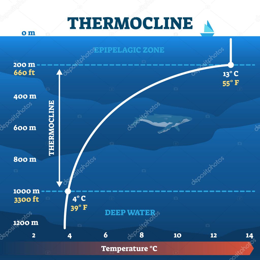 Thermocline deep water zone vector illustration diagram