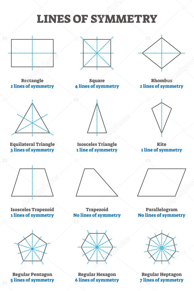 Lines of symmetry guide, vector illustration collection