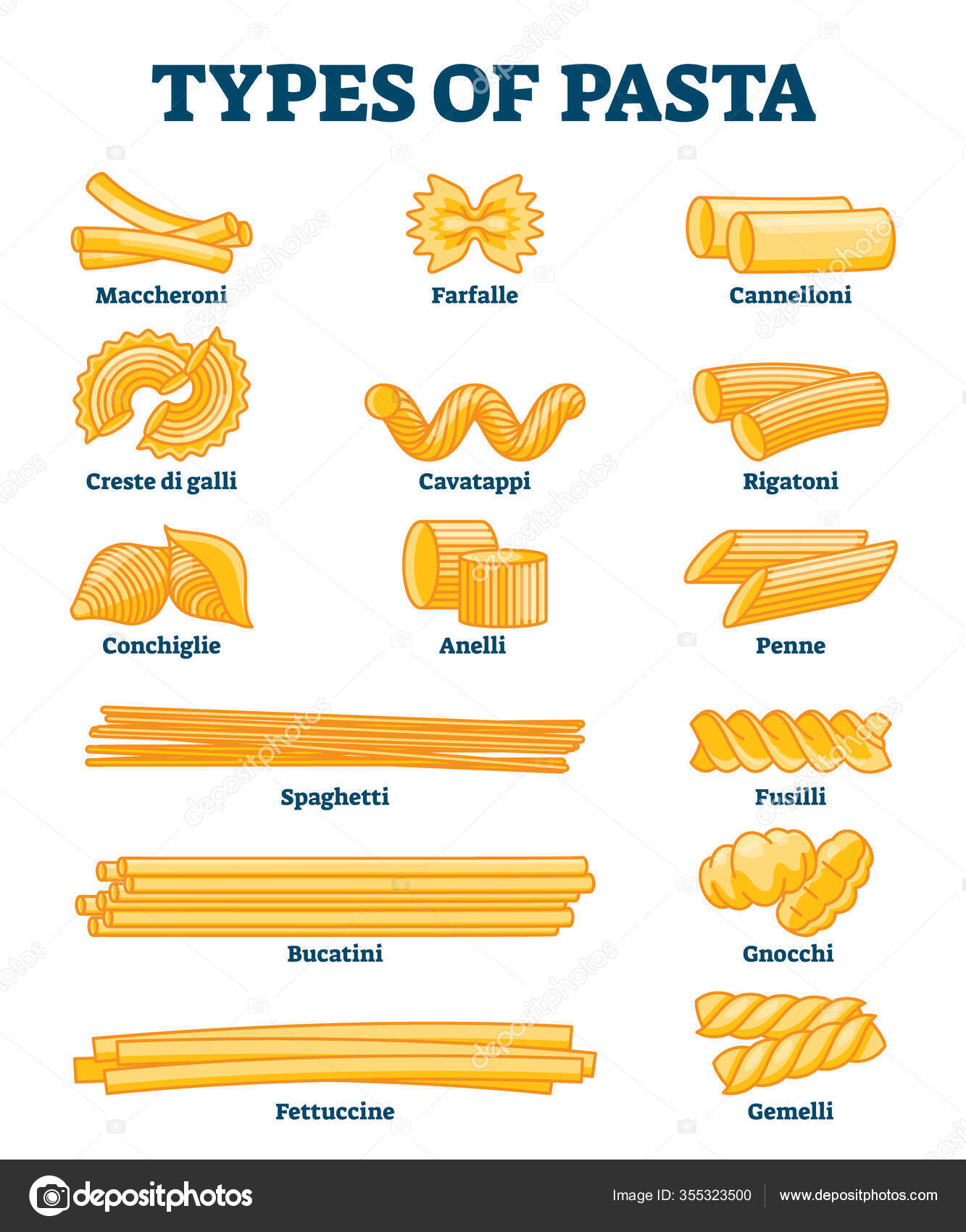 Premium Vector  Types of pasta long pasta difference illustration example