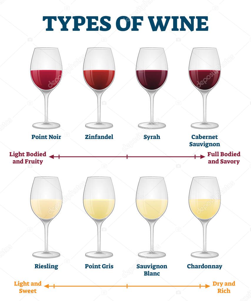 Types of wine vector illustration. Labeled red and white drink explanation.