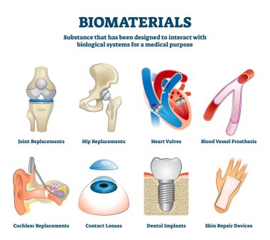 Biyomateryal vektör illüstrasyonu. Etiketli organ değiştirme koleksiyonu.