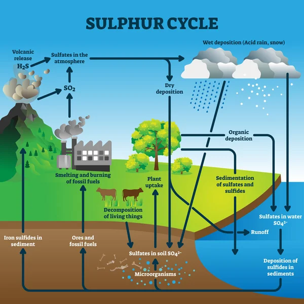 Sulphur cycle vector illustration. Labeled geological earth elements scheme — Stock Vector