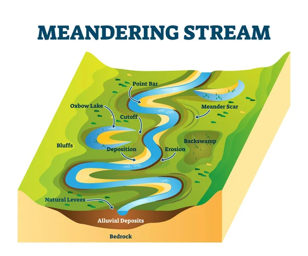 Meandering stream vector illustration. River curves cause explanation scheme — Stock Vector