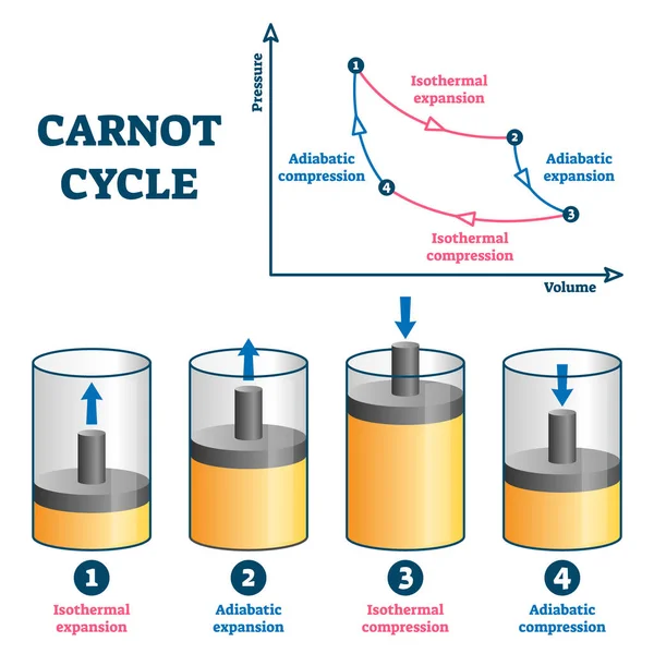 Carnot cycle vector illustration. Labeled educational thermodynamic scheme. — Stock Vector